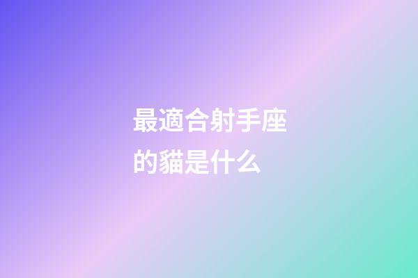 最適合射手座的貓是什么-第1張-星座運勢-玄機派
