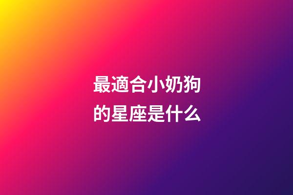 最適合小奶狗的星座是什么-第1張-星座運勢-玄機派