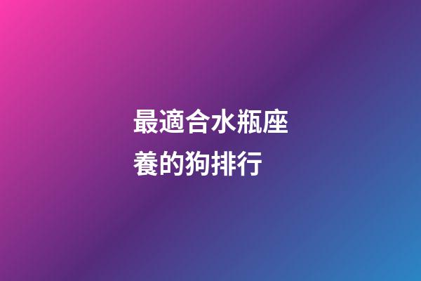 最適合水瓶座養的狗排行-第1張-星座運勢-玄機派