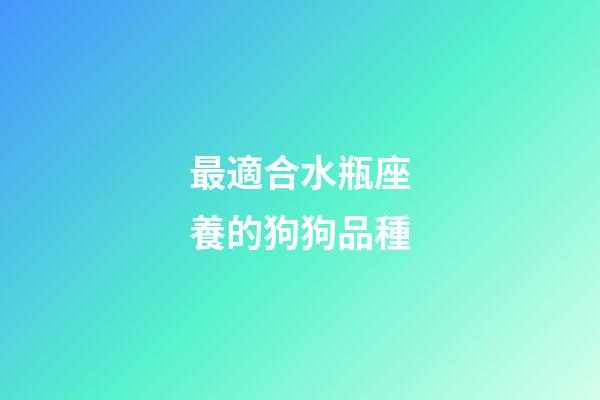 最適合水瓶座養的狗狗品種-第1張-星座運勢-玄機派