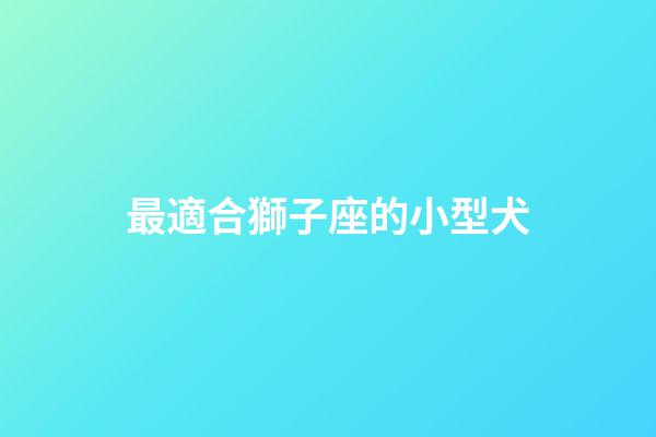 最適合獅子座的小型犬-第1張-星座運(yùn)勢(shì)-玄機(jī)派