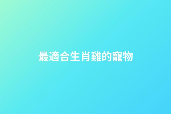 最適合生肖雞的寵物