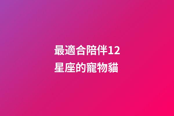 最適合陪伴12星座的寵物貓-第1張-星座運勢-玄機派
