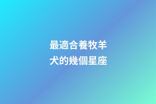 最適合養牧羊犬的幾個星座-第1張-星座運勢-玄機派