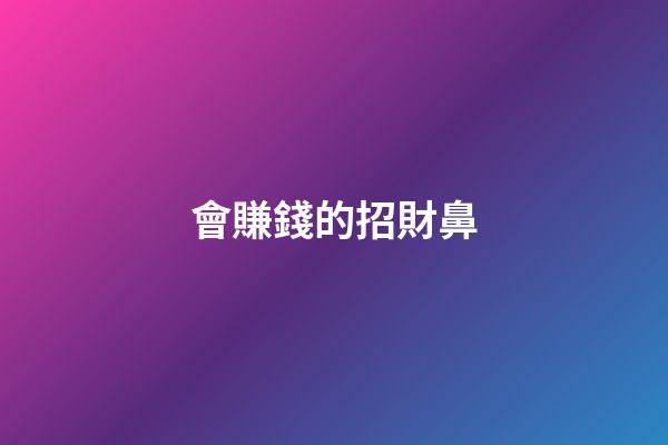 會賺錢的招財鼻
