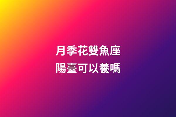 月季花雙魚座陽臺可以養嗎-第1張-星座運勢-玄機派