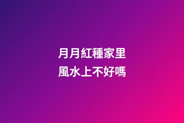 月月紅種家里風水上不好嗎