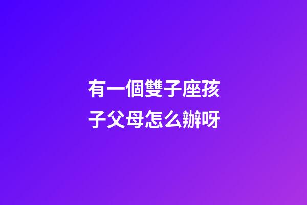 有一個雙子座孩子父母怎么辦呀-第1張-星座運勢-玄機派