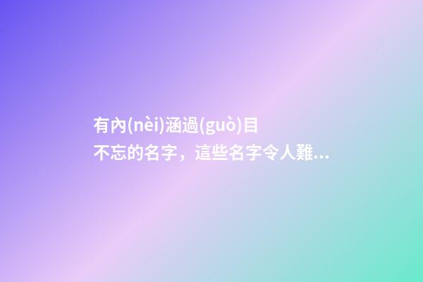 有內(nèi)涵過(guò)目不忘的名字，這些名字令人難忘（有內(nèi)涵過(guò)目不忘的名字,這些名字令人難忘的成語(yǔ)）
