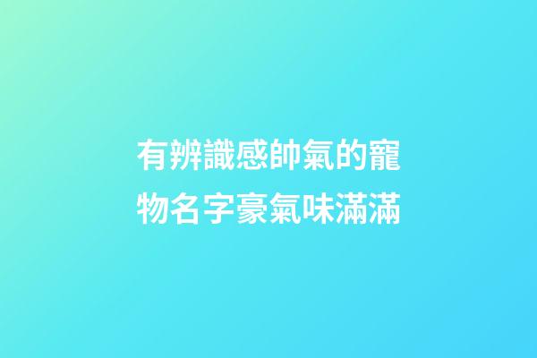 有辨識感帥氣的寵物名字豪氣味滿滿