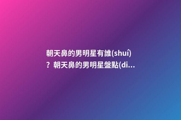 朝天鼻的男明星有誰(shuí)？朝天鼻的男明星盤點(diǎn)