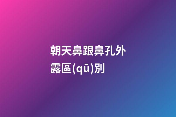 朝天鼻跟鼻孔外露區(qū)別