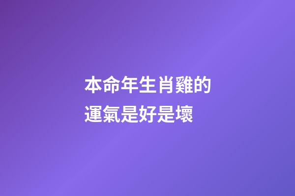 本命年生肖雞的運氣是好是壞