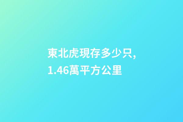 東北虎現存多少只,1.46萬平方公里-第1張-觀點-玄機派