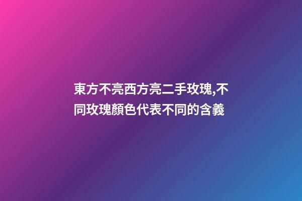 東方不亮西方亮二手玫瑰,不同玫瑰顏色代表不同的含義-第1張-觀點-玄機派