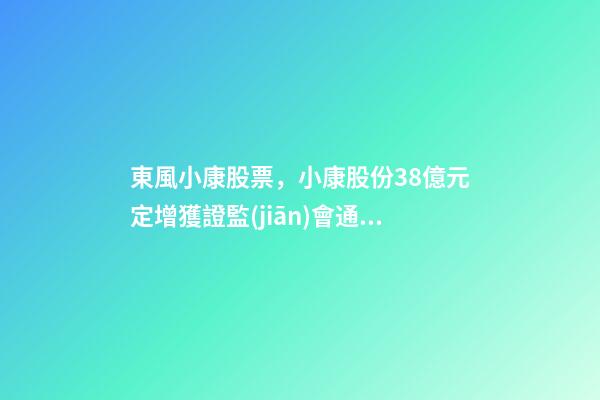 東風小康股票，小康股份38億元定增獲證監(jiān)會通過-第1張-觀點-玄機派
