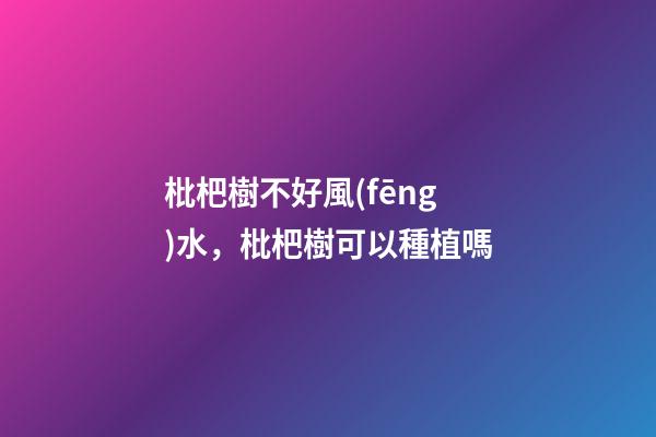 枇杷樹不好風(fēng)水，枇杷樹可以種植嗎