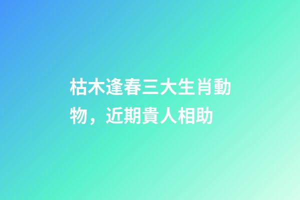 枯木逢春三大生肖動物，近期貴人相助-第1張-觀點-玄機派