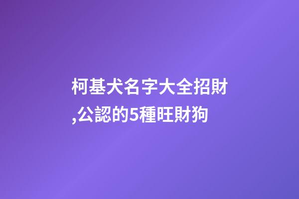 柯基犬名字大全招財,公認的5種旺財狗-第1張-觀點-玄機派
