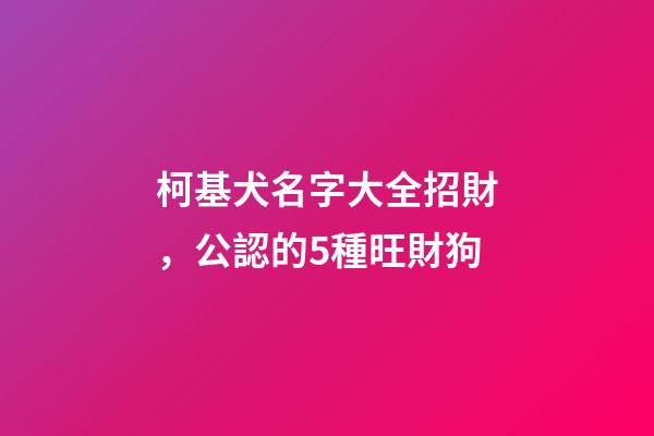 柯基犬名字大全招財，公認的5種旺財狗-第1張-觀點-玄機派