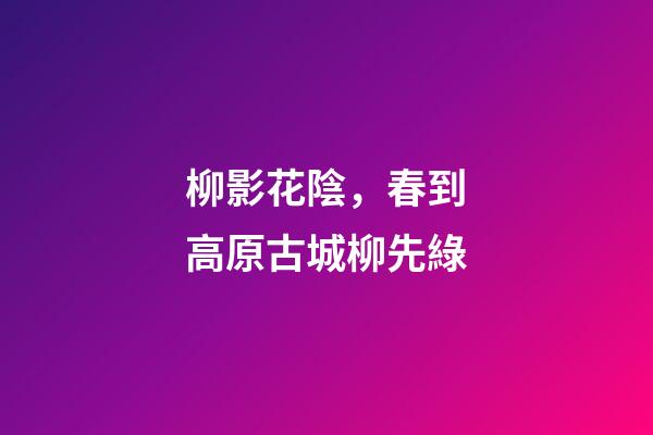柳影花陰，春到高原古城柳先綠-第1張-觀點-玄機派
