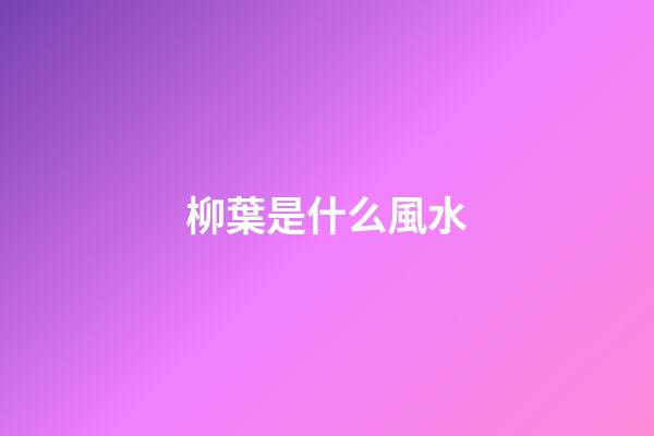柳葉是什么風水