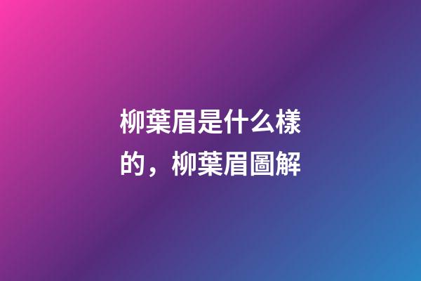 柳葉眉是什么樣的，柳葉眉圖解