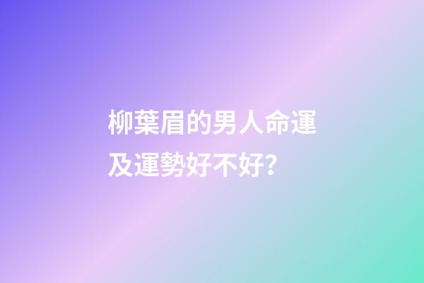 柳葉眉的男人命運及運勢好不好？