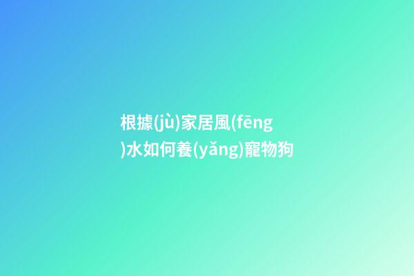 根據(jù)家居風(fēng)水如何養(yǎng)寵物狗