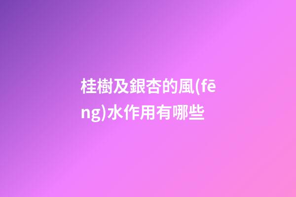 桂樹及銀杏的風(fēng)水作用有哪些?