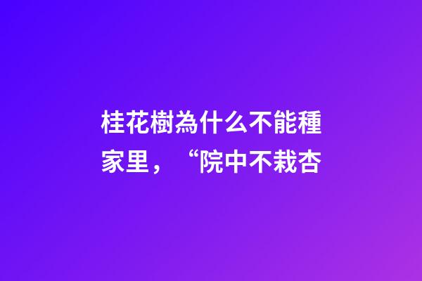 桂花樹為什么不能種家里，“院中不栽杏-第1張-觀點-玄機派