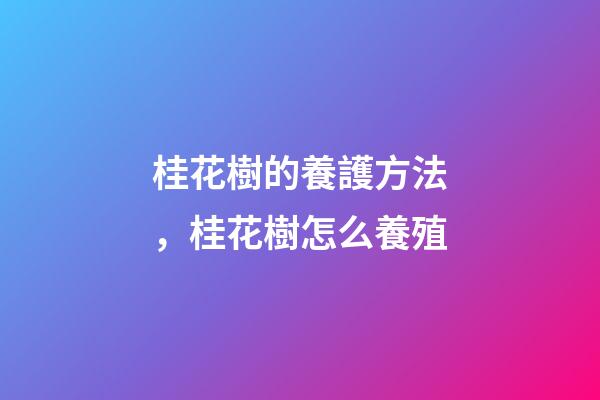 桂花樹的養護方法，桂花樹怎么養殖-第1張-觀點-玄機派