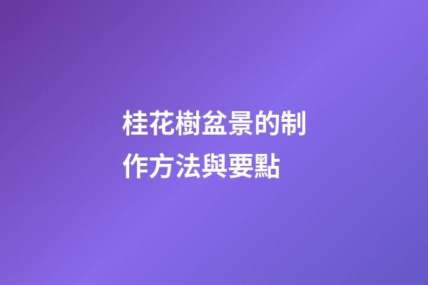 桂花樹盆景的制作方法與要點