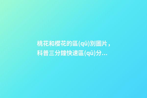 桃花和櫻花的區(qū)別圖片，科普三分鐘快速區(qū)分桃花-第1張-觀點(diǎn)-玄機(jī)派