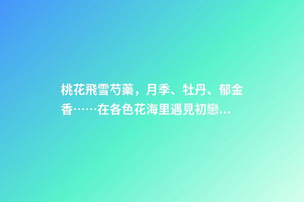 桃花飛雪芍藥，月季、牡丹、郁金香……在各色花海里遇見初戀般的浪漫-第1張-觀點-玄機派