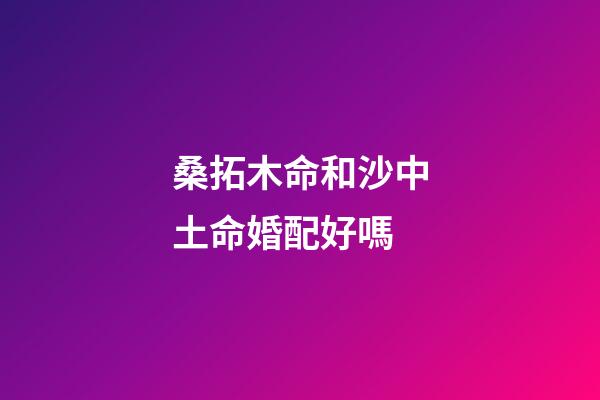 桑拓木命和沙中土命婚配好嗎