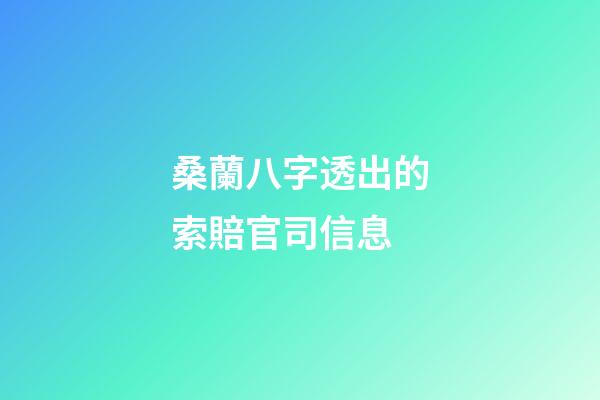 桑蘭八字透出的索賠官司信息