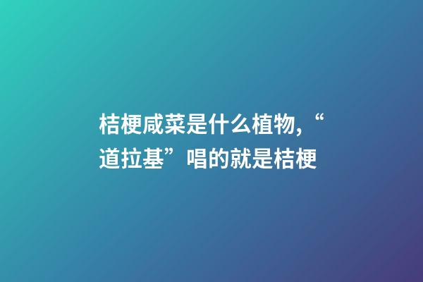 桔梗咸菜是什么植物,“道拉基”唱的就是桔梗-第1張-觀點-玄機(jī)派