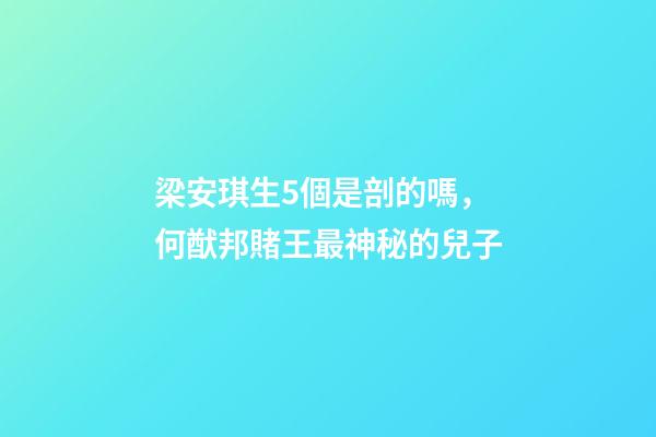 梁安琪生5個是剖的嗎，何猷邦賭王最神秘的兒子-第1張-觀點-玄機派