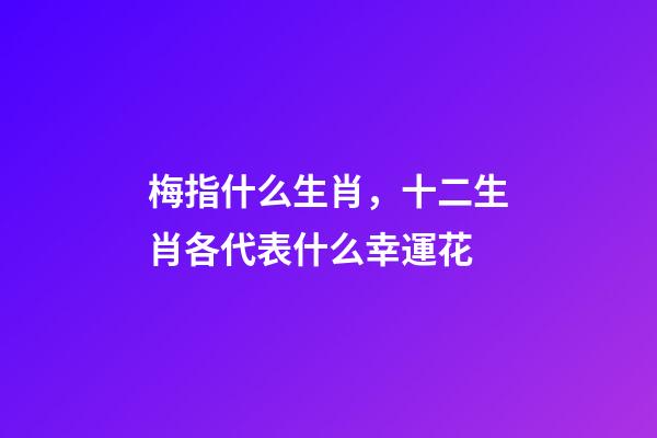 梅指什么生肖，十二生肖各代表什么幸運花-第1張-觀點-玄機派
