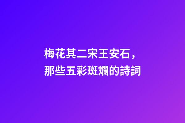 梅花其二宋王安石，那些五彩斑斕的詩詞-第1張-觀點-玄機派