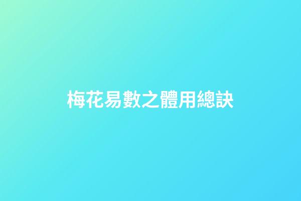 梅花易數之體用總訣