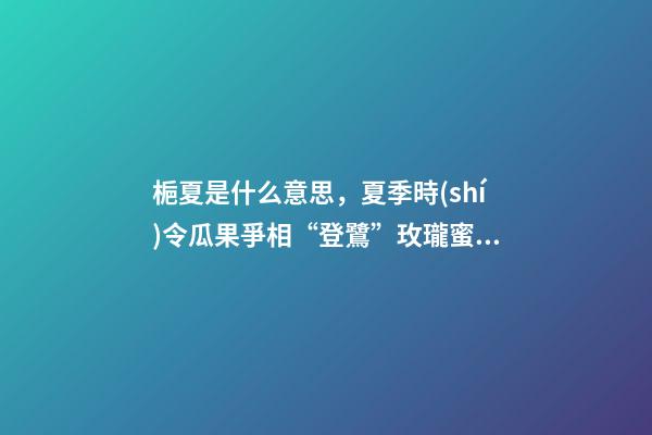 梔夏是什么意思，夏季時(shí)令瓜果爭相“登鷺”玫瓏蜜瓜跨界茶飲圈-第1張-觀點(diǎn)-玄機(jī)派