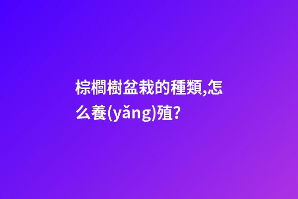 棕櫚樹盆栽的種類,怎么養(yǎng)殖？