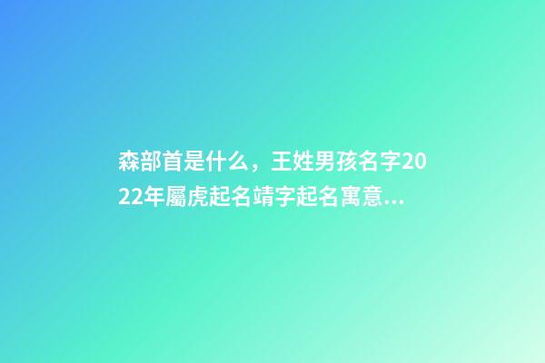 森部首是什么，王姓男孩名字2022年屬虎起名靖字起名寓意蒸蒸日上的名字-第1張-觀點(diǎn)-玄機(jī)派