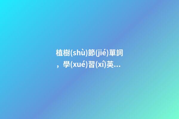 植樹(shù)節(jié)單詞，學(xué)習(xí)英語(yǔ)就是這么簡(jiǎn)單!巧記單詞之急救篇-第1張-觀點(diǎn)-玄機(jī)派