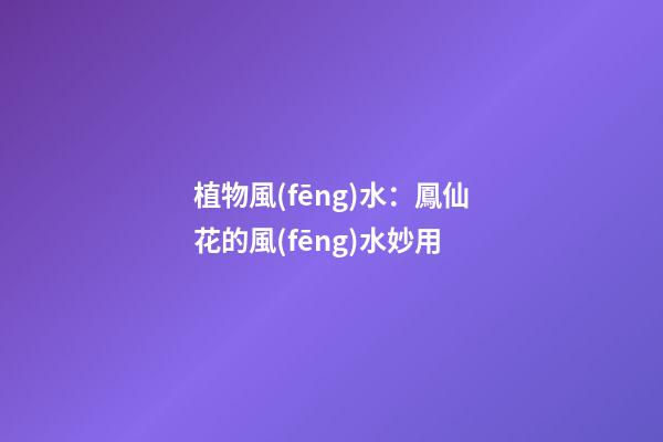 植物風(fēng)水：鳳仙花的風(fēng)水妙用