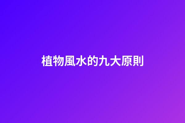 植物風水的九大原則