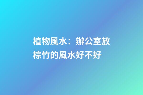 植物風水：辦公室放棕竹的風水好不好