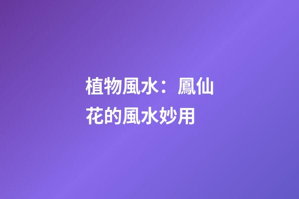 植物風水：鳳仙花的風水妙用